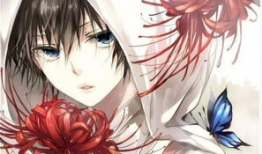 好看动漫网,探索好看动漫网的精彩世界